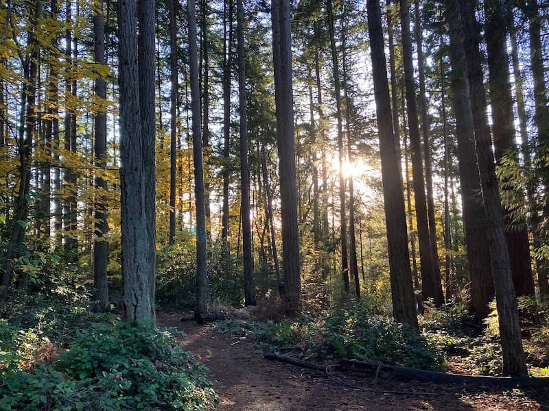 South Woods Park - Image 1