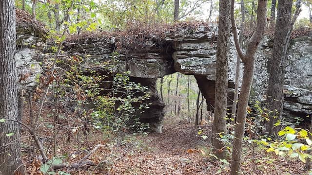 Pedestal Rocks & Kings Bluff Trailhead - Image 2