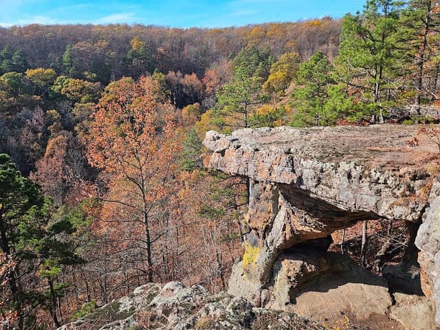 Pedestal Rocks & Kings Bluff Trailhead - Image 3