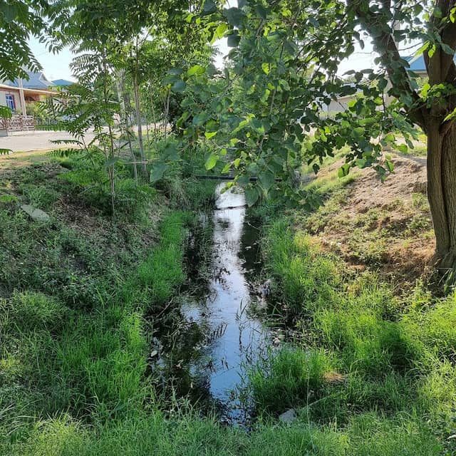 The Dustlik Beautiful street - Image 1