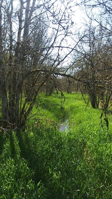 Senecal Creek Greenway - Image 2
