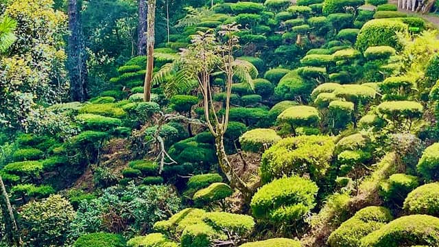 HIDDEN GARDEN ATOK, BENGUET - Image 1