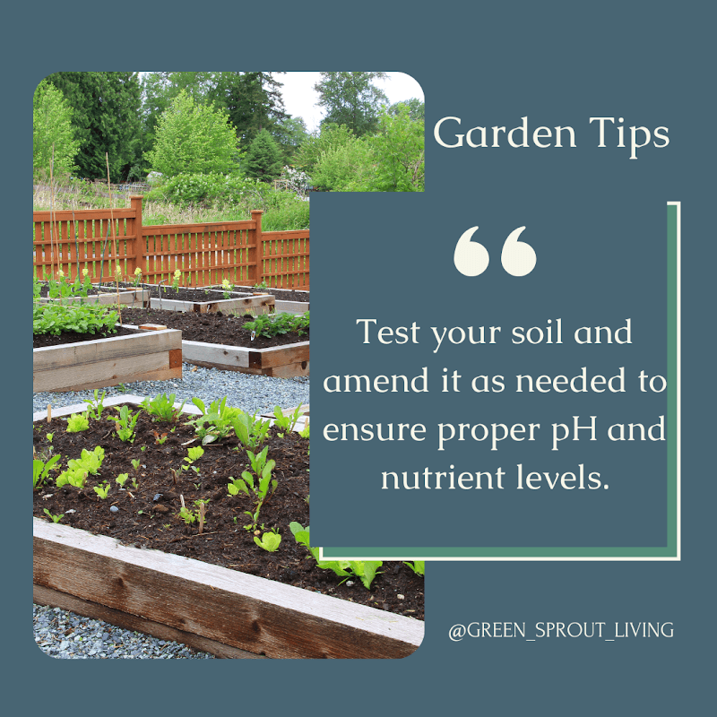 Green Sprout Living - Image 1