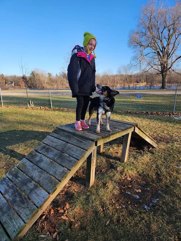 Owosso Bark Park - Image 1