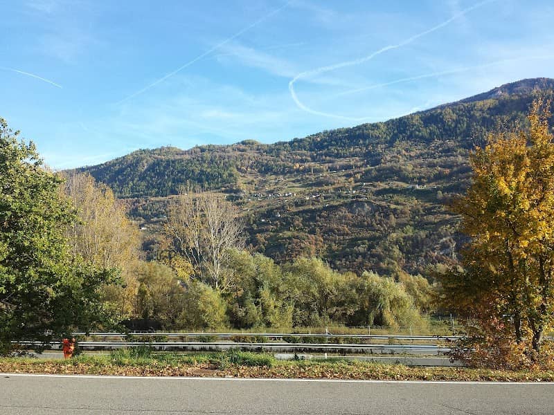 Marais d'Ardon et de Chamoson - Image 1