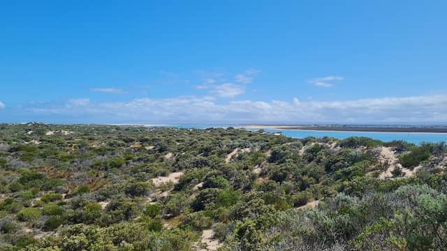 Aspire Paddling Company (Canoe the Coorong's Rivers End Tour) - Image 2