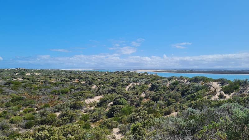 Aspire Paddling Company (Canoe the Coorong's Rivers End Tour) - Image 2