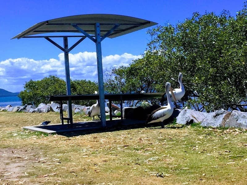 Henderson Park - Image 1
