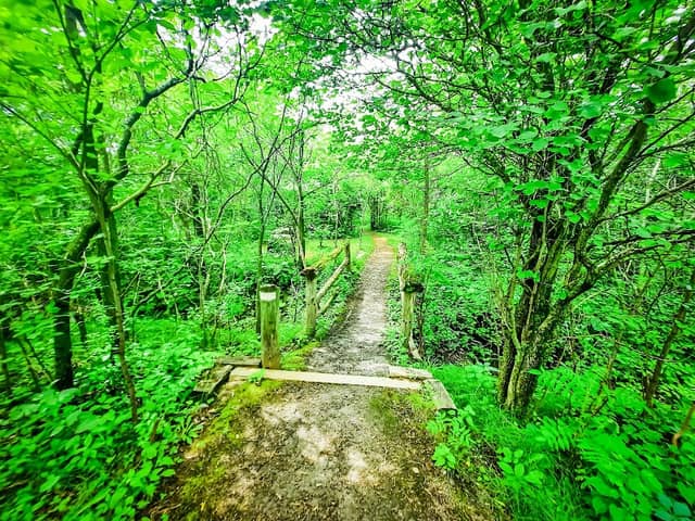 Réserve naturelle du Boisé-des-Douze - Image 1