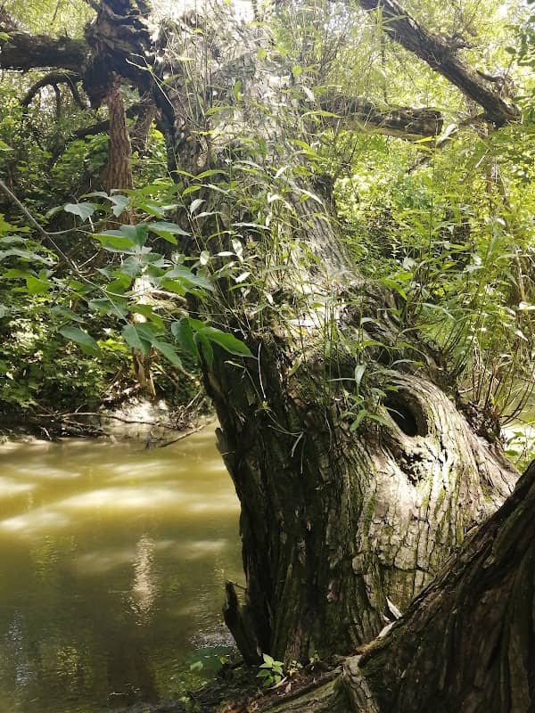 Réserve naturelle du Boisé-des-Douze - Image 2