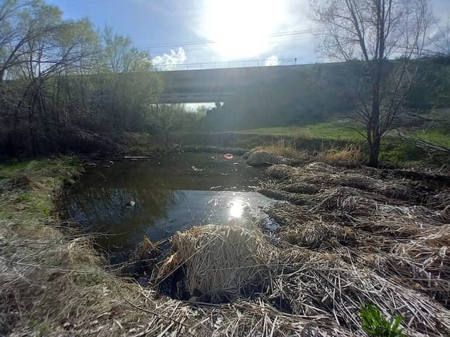 The Gully - Image 2