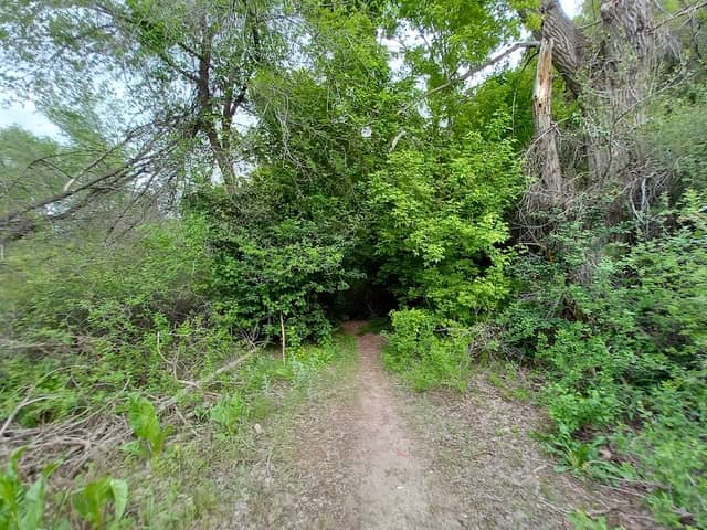 The Gully - Image 1