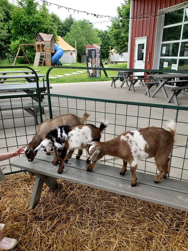 Haute Goat - Image 1