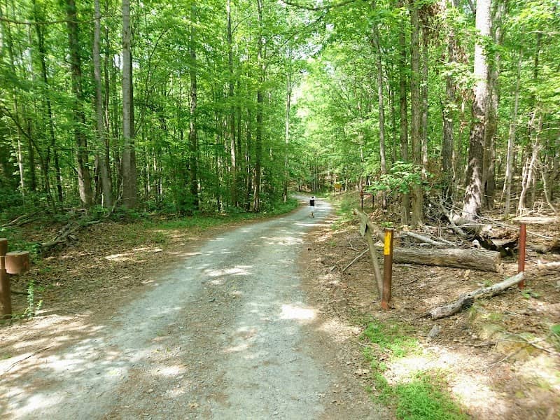 Wood Run Trailhead - Image 1