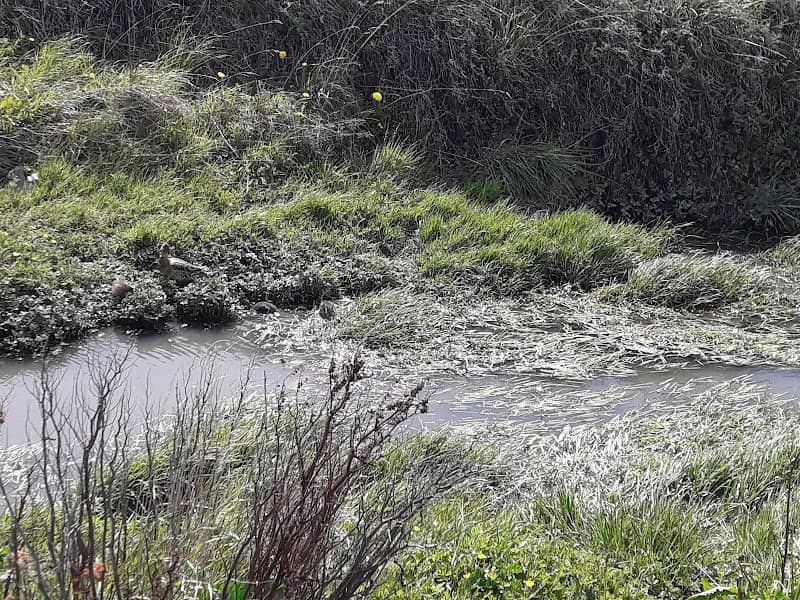 Cataratas Del Niagra Park - Image 2