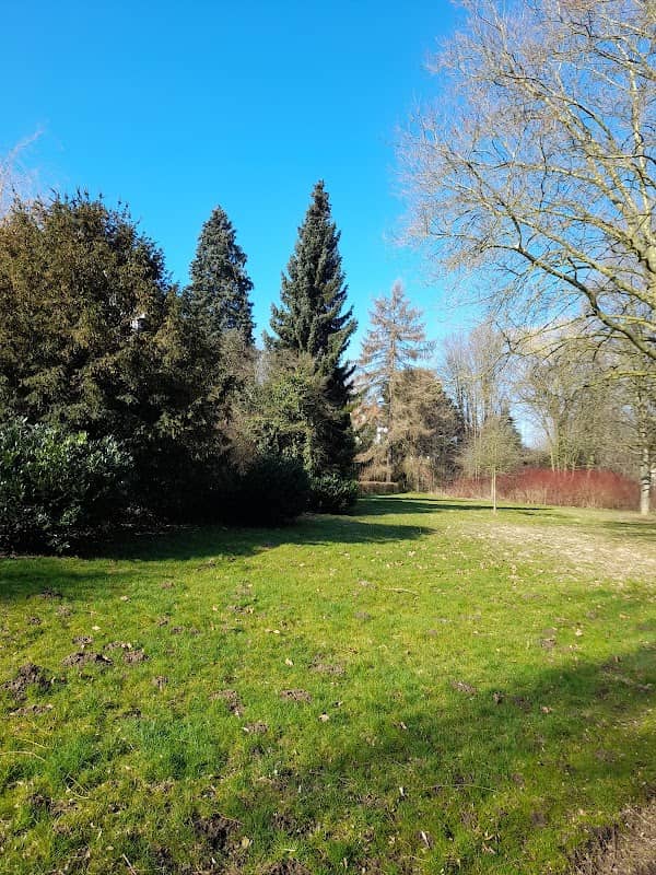 Afte Park - Image 1