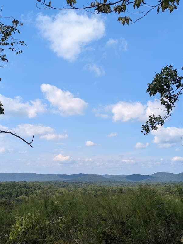 Uwharrie National Forest - Image 1