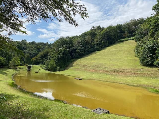 Rimba Alam Park - Image 1