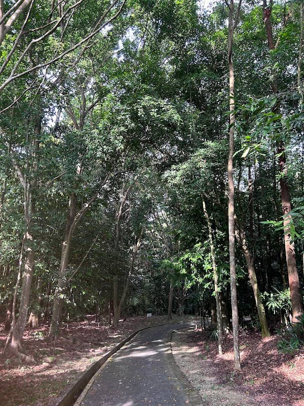 Rimba Alam Park - Image 2