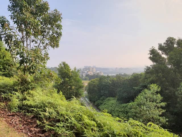 Rimba Alam Park - Image 3