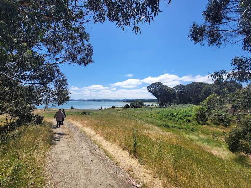 Point Pinole Regional Shoreline - Image 2