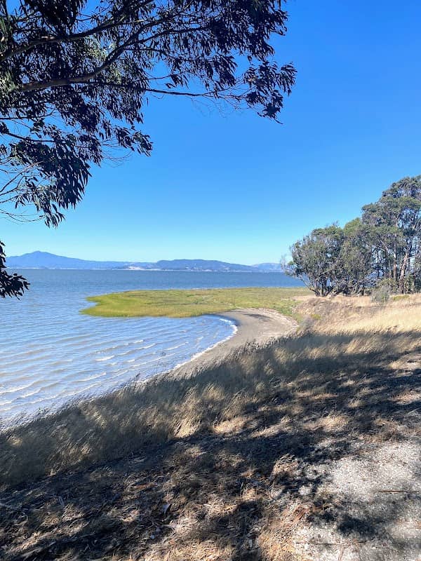 Point Pinole Regional Shoreline - Image 1