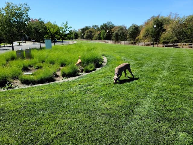Starr Creek Park - Image 1