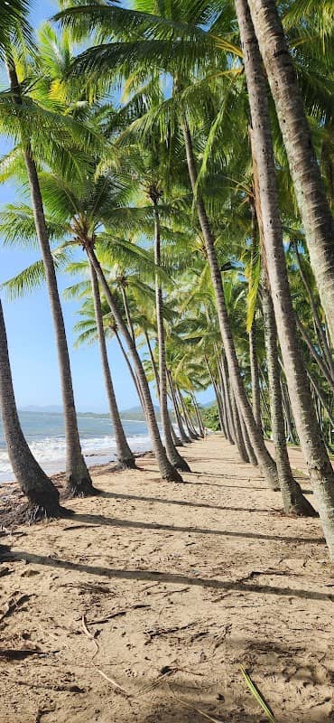 Palm Cove Beach - South - Image 1