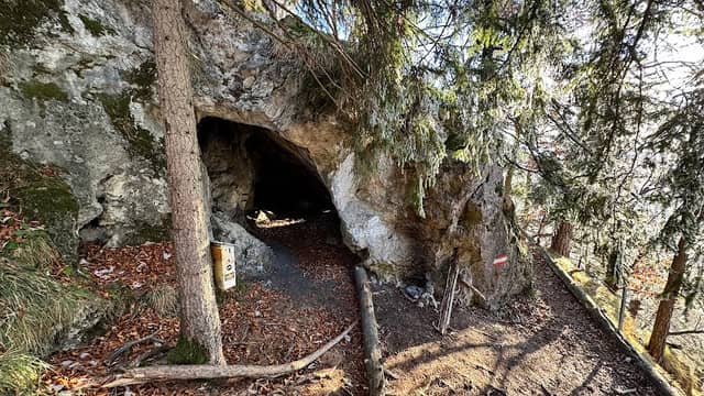 Bärenhöhle, Gamskogel - Image 1