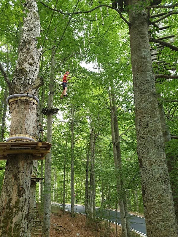 Fagus Park - Image 1