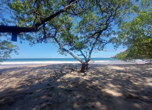 Parque Nacional Marino Las Baulas, Sector Playa Langosta - Image 3