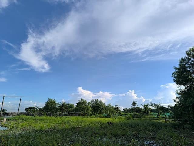 Valenzuela Boardwalk - Image 2