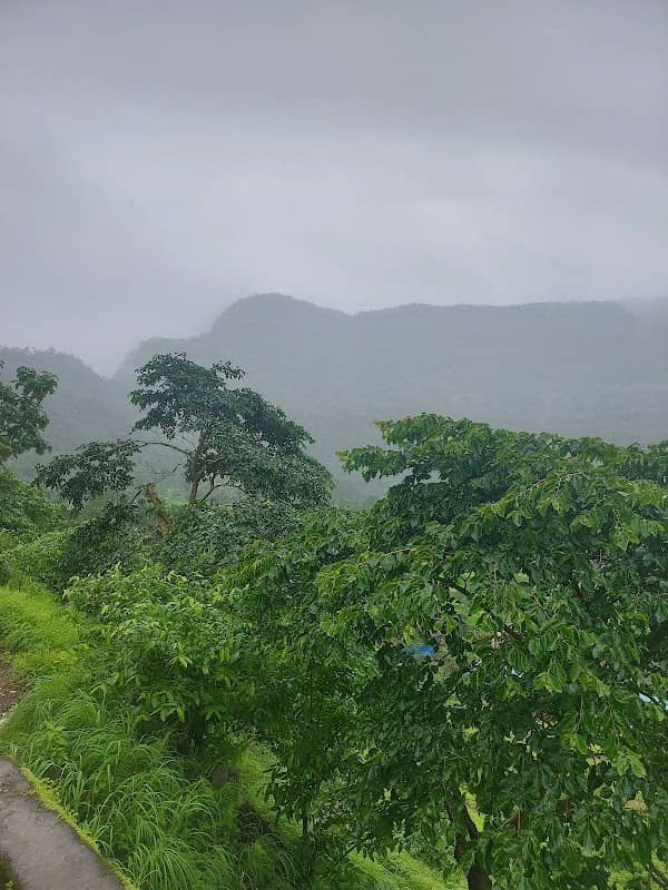 Rail view point - Image 1