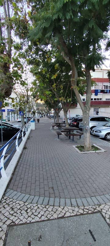 Parque - Image 1