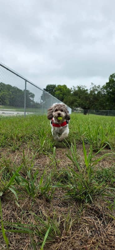 Terry Copeland Park - Image 1