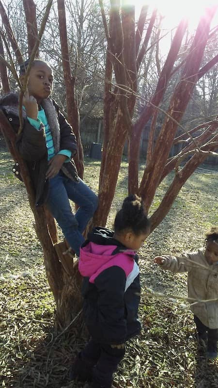 Harris Park - Image 2