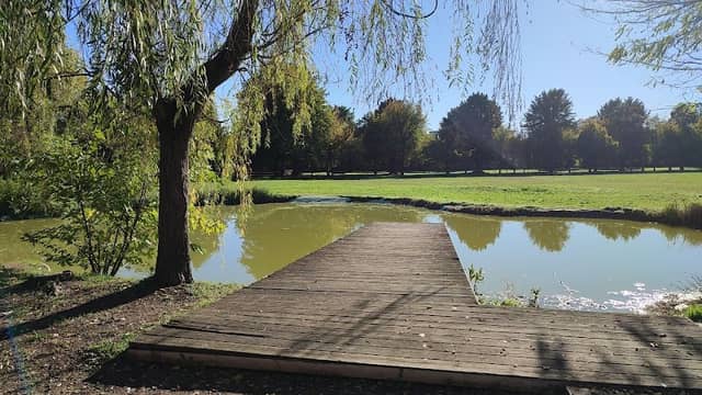 Nuovo laghetto nel giardino Arese Borromeo - Image 1