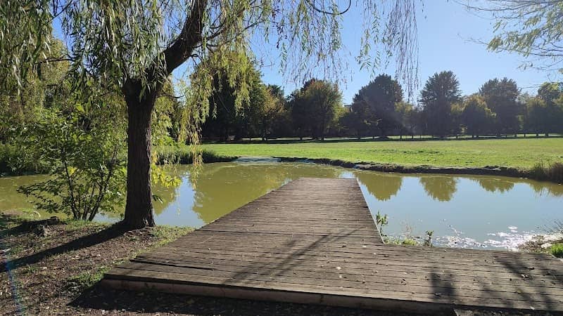 Nuovo laghetto nel giardino Arese Borromeo - Image 2