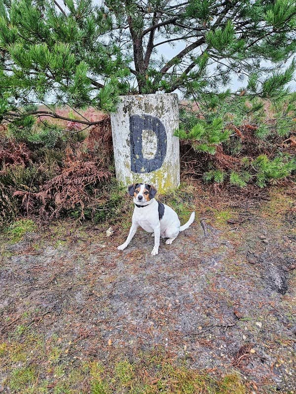 Ash Ranges waypoint D - Image 2