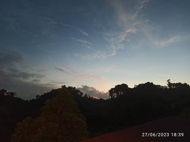 PUNCAK Pandan Mekar - Image 1