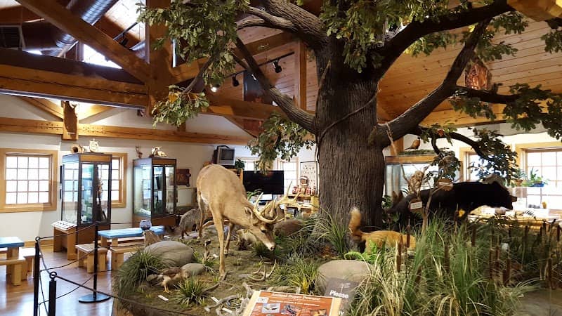 Farmington Hills Nature Center - Image 3