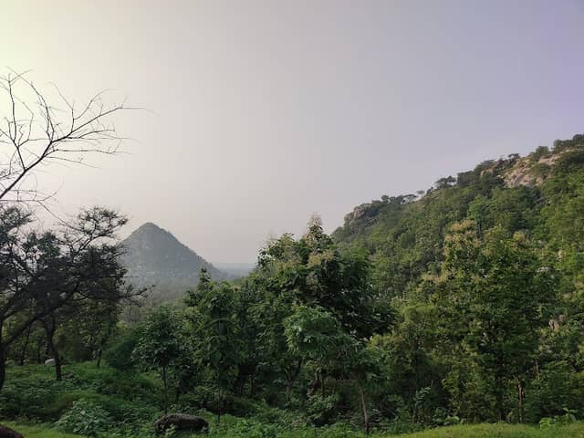 વેવારિયો ડુંગર - Image 1