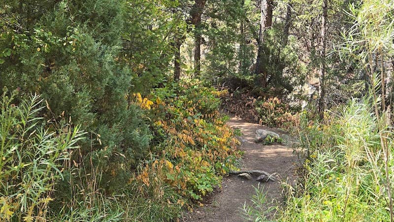 Fourmile Canyon Creek - Image 3