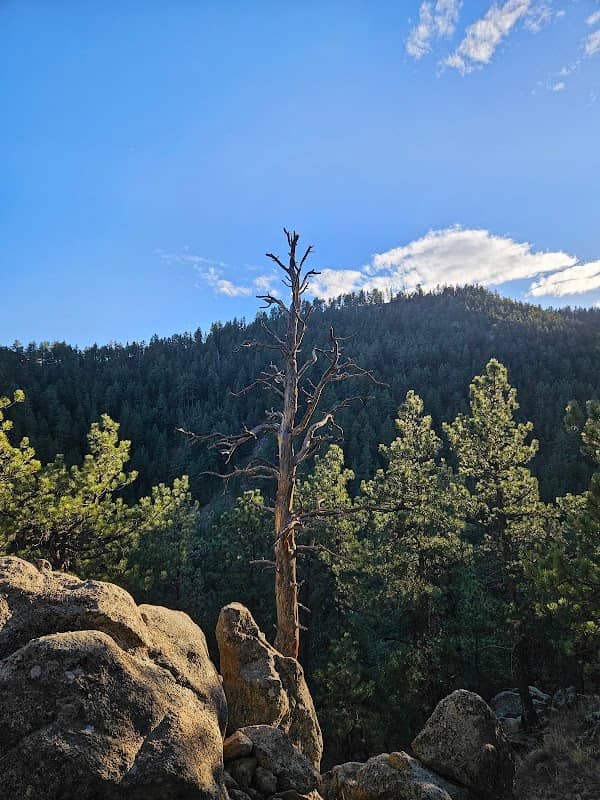 Fourmile Canyon Creek - Image 1