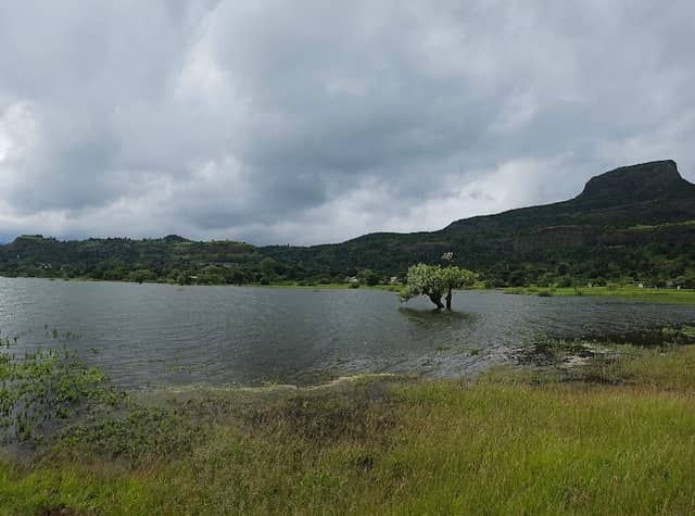 Beach Point Pimpalgaon Joga Dam Malshej - Image 2