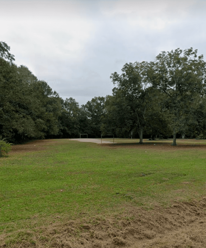 Orvin Field park - Image 1