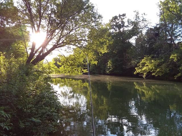 Buckhannon River Walk Trail - Image 1