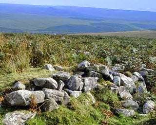 Upper Plym Valley - Image 1