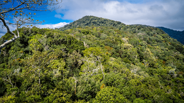 Kon Ka Kinh National Park - Image 3