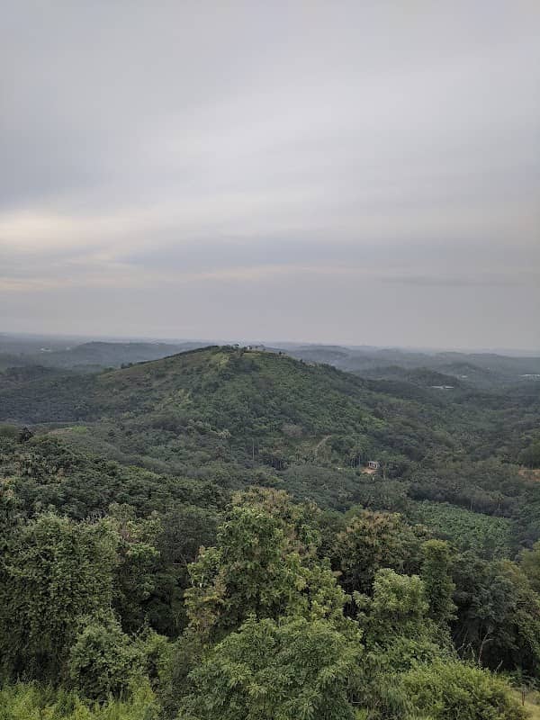 Vellanikkalpara watch tower - Image 1